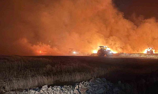 Mazıdağı'nda dün gece çıkan yangında ekili araziler zarar gördü