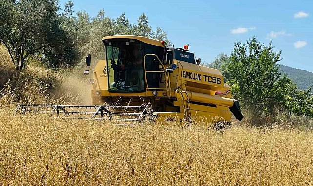 Menteşe'de biçerdöverlere sıkı denetim