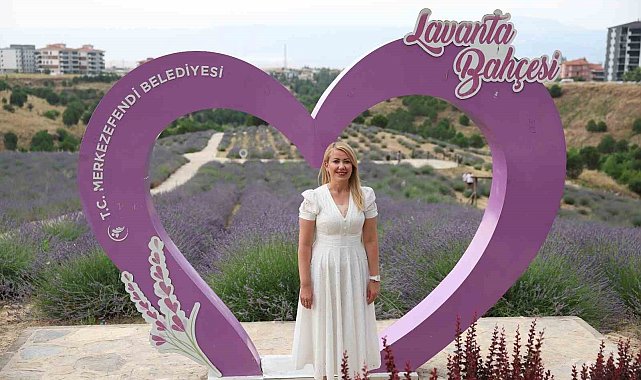 Merkezefendi'nin mor güzelliği lavanta bahçesi yoğun ilgi görüyor