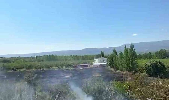 Mersin Mut'ta yangın: 15 dönüm bahçe zarar gördü