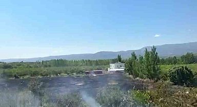 Mersin Mut'ta yangın: 15 dönüm bahçe zarar gördü