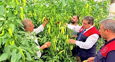 Mersin'de kapya biber üretimi yerinde incelendi