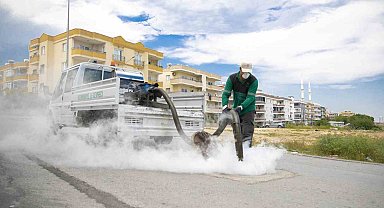 Mersin'de sinek ve haşerelere karşı yoğun mesai