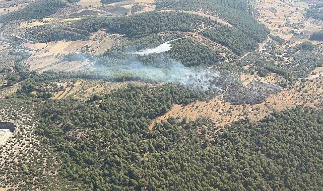 Milas'ta çıkan zirai yangın kısa sürede kontrol altına alındı
