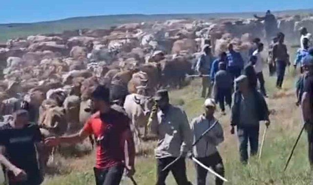 Muş'ta iki köy arasında 'arazi' kavgası: 2 yaralı