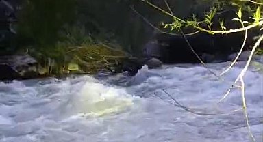 Nehirde kaybolan şahıs için arama çalışması başlatıldı