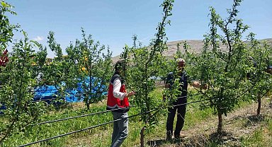 Niğde'de dolu ve sağanak tarım arazilerine zarar verdi