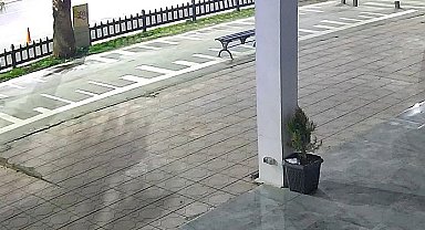 Nişanlı çiftin hayatını kaybettiği kazanın görüntüleri ortaya çıktı