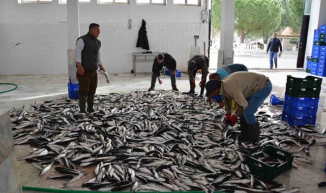 Ocak-Mayıs döneminde Muğla ihracatı yüzde 6,5 arttı