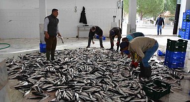 Ocak-Mayıs döneminde Muğla ihracatı yüzde 6,5 arttı