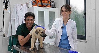 Ödüllü Hayvan Bakım Merkezi can dostlara umut oluyor