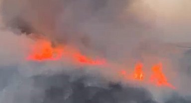 Oğuzeli'nde buğday tarlasında yangın