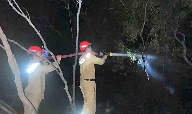 Ormanlık alandaki yangın büyümeden söndürüldü