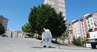 Osmangazi Belediyesi'nden haşerelere karşı etkin mücadele
