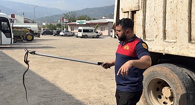 Osmaniye'de kaçak yolcu yılan, üçüncü araçta yakalandı