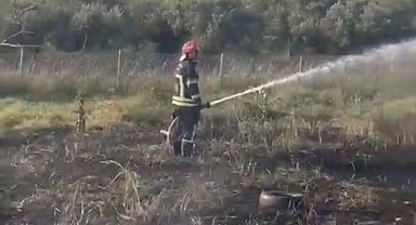 Osmaniye'de tankerin lastiklerinden çıkan yangın zeytin bahçesine sıçradı