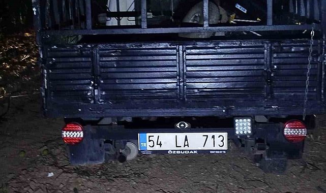 Otomobil ağaca çarptı: 2 yaralı