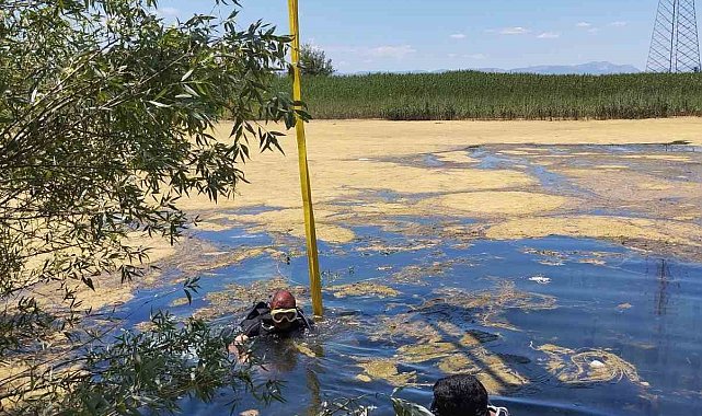 Otomobil göle düştü, sürücü kendi imkanlarıyla kurtuldu