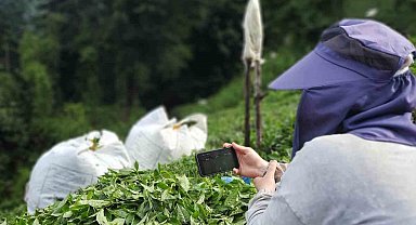 Rize'de çay bahçesinde milli maç heyecanı