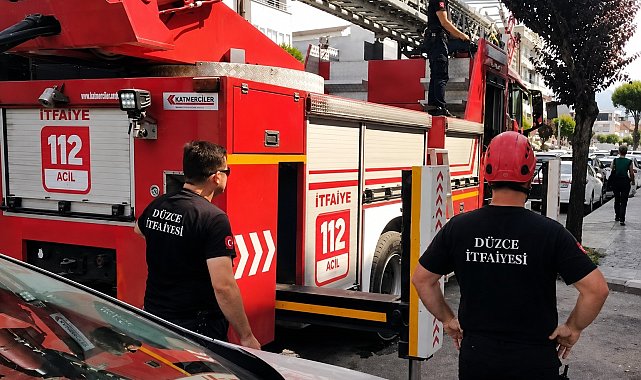 Sahibinin omzunda gezerken korkup kaçan papağanın imdadına itfaiye yetişti
