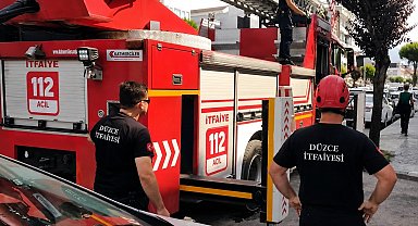 Sahibinin omzunda gezerken korkup kaçan papağanın imdadına itfaiye yetişti