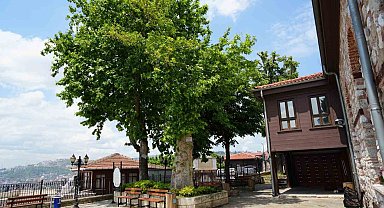 Sembol caminin 6 asırlık çınarı yıldırımlara rağmen ayakta