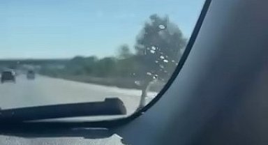Seyir halindeki aracın kaputunda yılan paniği