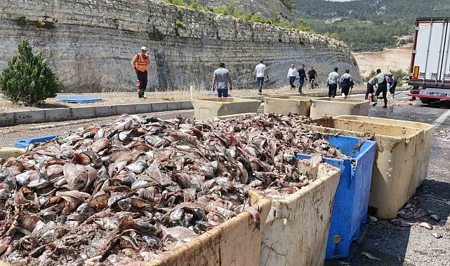 Seyir halindeki tırın dorsesi patladı, 15 ton balık atığı yola saçıldı