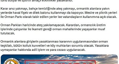 Sıcaklıklar arttı, ormanlara giriş yasaklandı