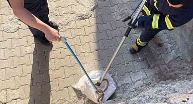 Siirt'te 1 buçuk metrelik yılan evin bahçesinden çıktı