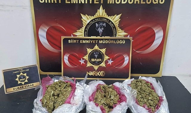 Siirt'te aranan 33 şahıs yakalandı, çok sayıda suç unsuru ele geçirildi