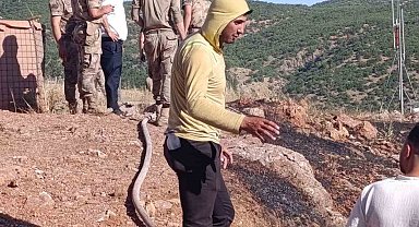 Siirt'te çıkan yangın ekiplerin müdahalesiyle söndürüldü