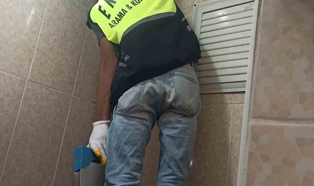 Siirt'te lavabo borusuna sıkışan yavru kedi kurtarıldı