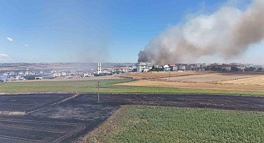 Silivri'de rüzgarla büyüyen yangında alevleri kontrol altına alma çalışmaları devam ediyor