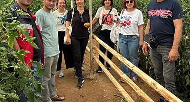 Simav'daki seracılara domates hastalıkları ve zararlıları eğitimi
