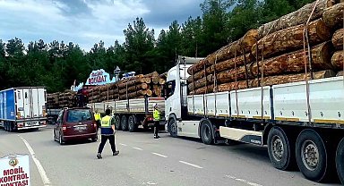 Sinop'ta orman emvali nakilleri denetimi
