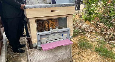 Sinop'ta Türkiye'nin 913'üncü bal ormanı hizmete açıldı