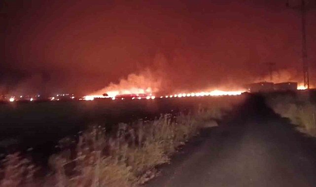 Şırnak'ta çıkan yangında 300 dönümlük alan küle döndü