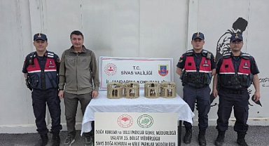 Sivas'ta usulsüz ele geçirilen 4 keklik doğaya salındı