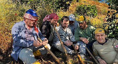 Tarlada mesaiye milli maç arası