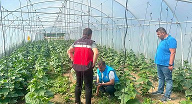 Tavşanlı cezaevi serasında üretim faaliyetleri incelendi