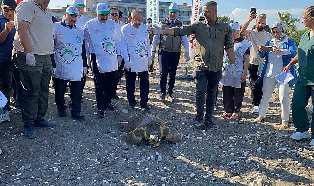 Tedavisi tamamlanan 3 deniz kaplumbağası yeniden denizle buluştu