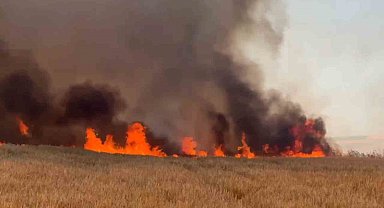 Tekirdağ'da buğday tarlalarına sıçrayan yangında 300 dönüm alan kül oldu