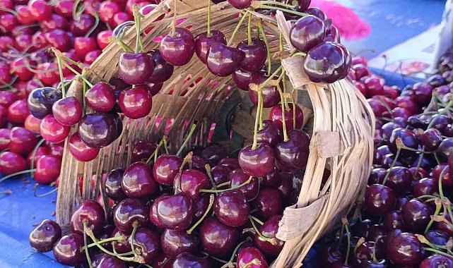 Tekirdağ'da kiraz fiyatları düşüşe geçti: 250 TL'den 150-100 TL bandına geriledi