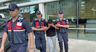 Televizyon hırsızlığı zanlısı, jandarma ekiplerince yakalandı