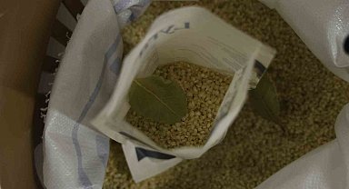 Tescilli Karacadağ pirinci testten geçti: Pestisit yok, protein yüksek