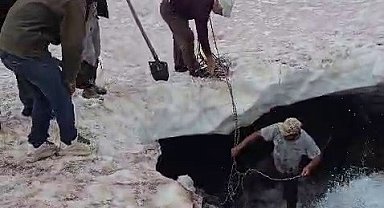 Tortum'da buzullarda dana kurtarma operasyonu