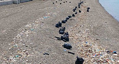 Trabzon sahilinde çöp seferberliği