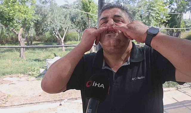 Traktörle yol kesip, kuyumcuya meydan dayağı atan kardeşlere 420 bin TL ceza