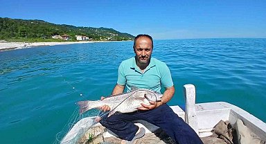 Türkeli'de nadir görülen kötek balığı avlandı